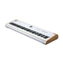 Arturia AstroLab88