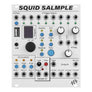 ALM Busy Circuit Squid Salmple