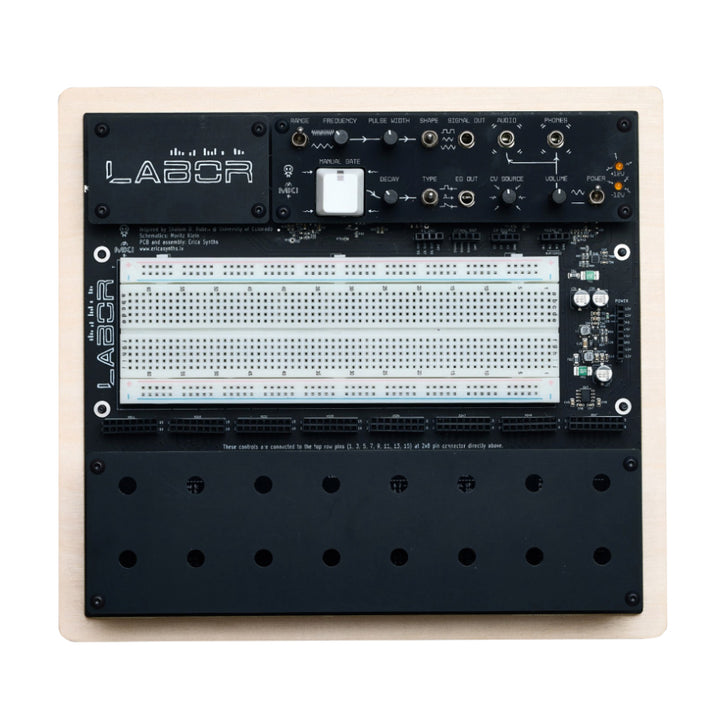 Erica Synths EDU DIY Labor