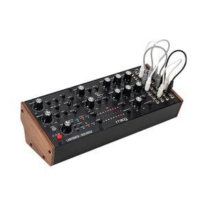 Moog Labyrinth