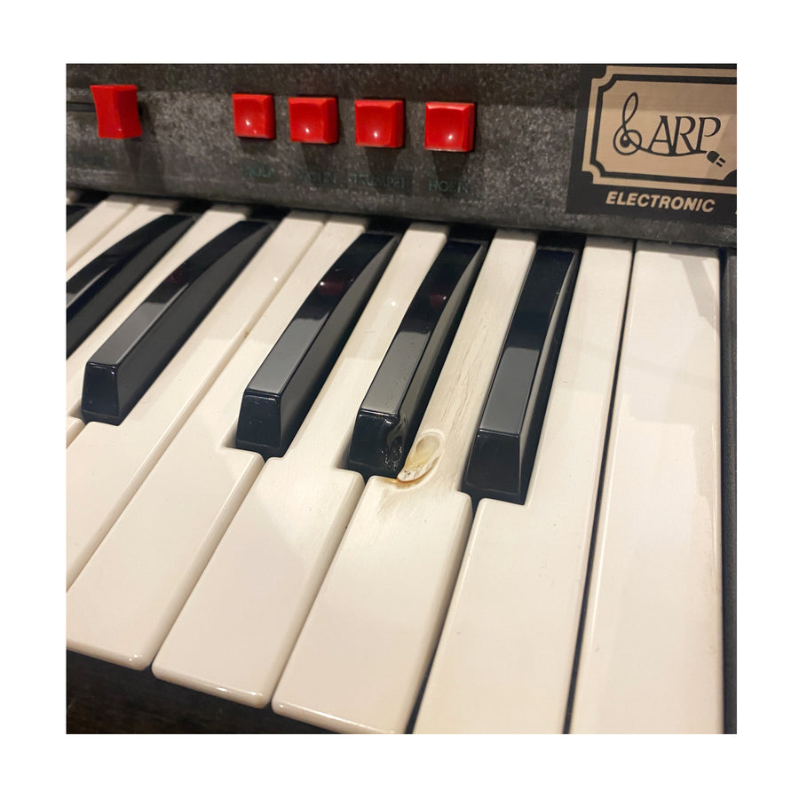 ARP Solina String Ensemble (Vintage)