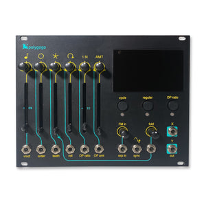 E-RM Polygogo (Used)