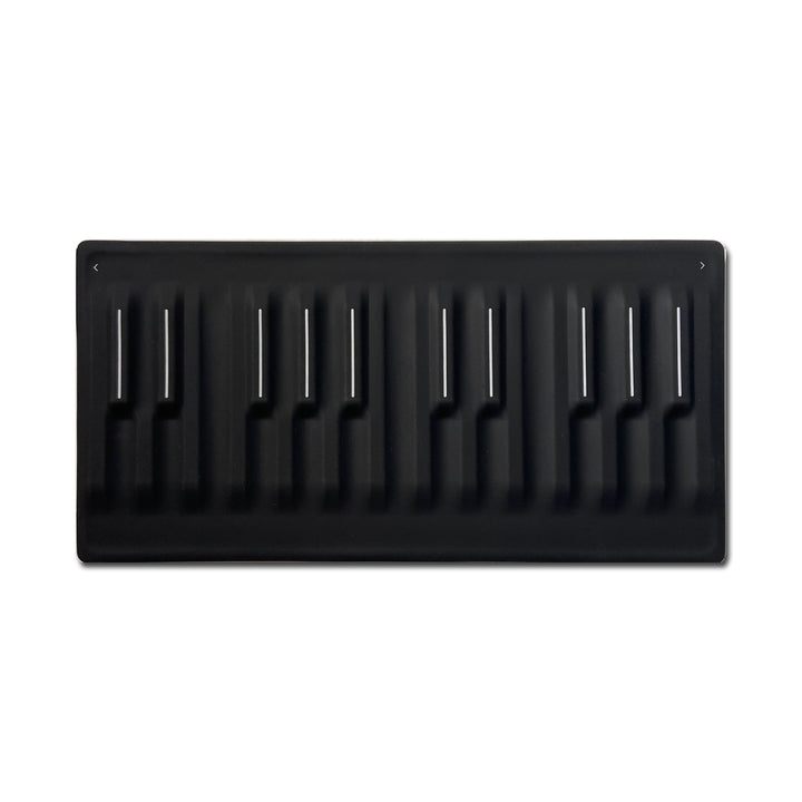 Roli Seaboard Block (Used)