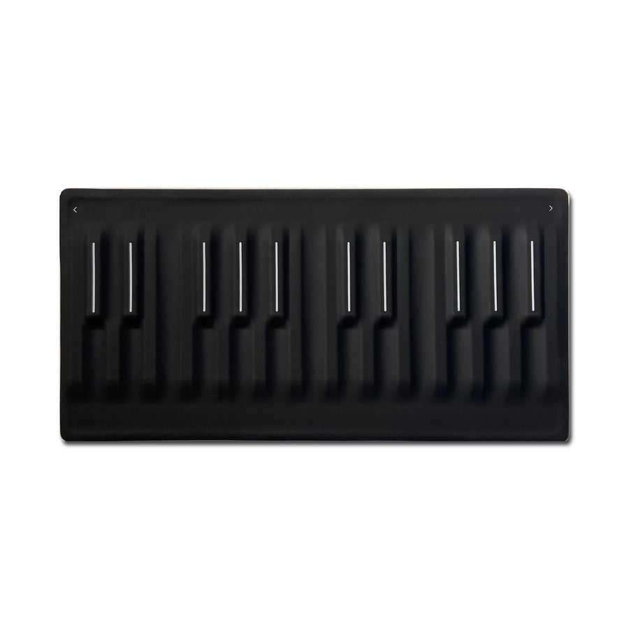 Roli Seaboard Block (Used)