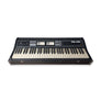 Roland RS-101 String Synthesizer (Vintage)