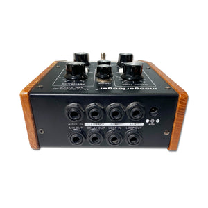 Moog Moogerfooger MF-104Z Analog Delay (Used)